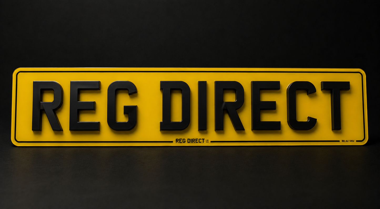 4D Plate