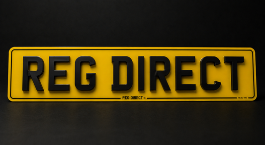 4D Plate