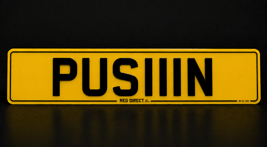 PUSIIIN